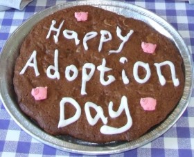 adoption day cookie